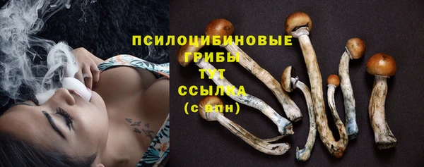гидропоника Аркадак